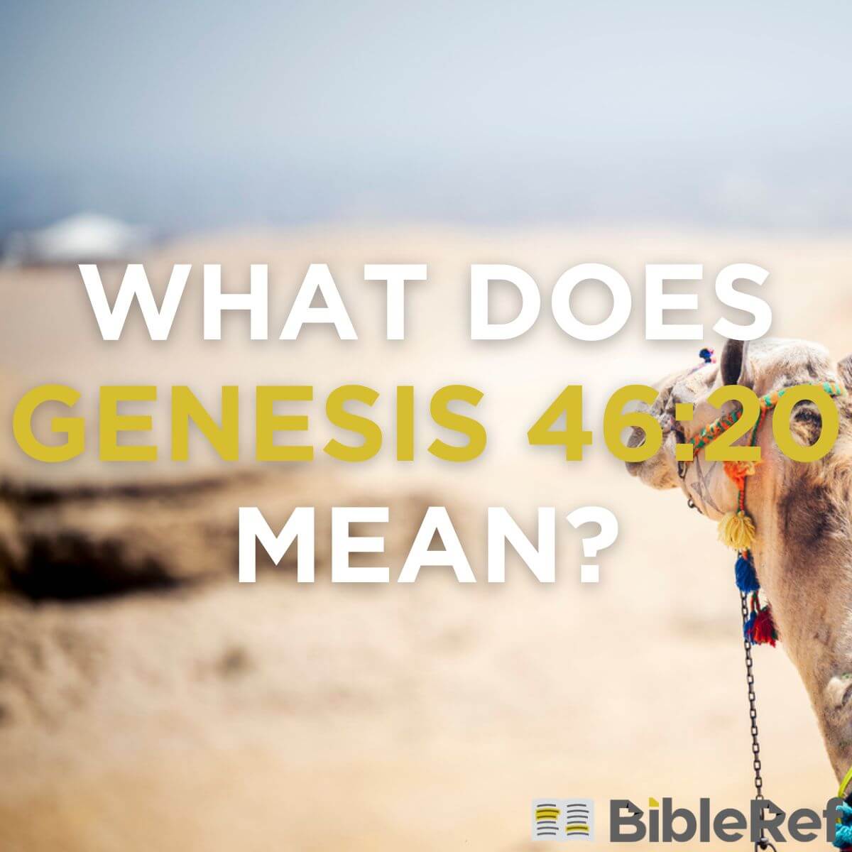 what-does-genesis-46-20-mean-bibleref