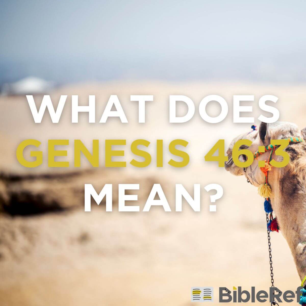 what-does-genesis-46-3-mean-bibleref