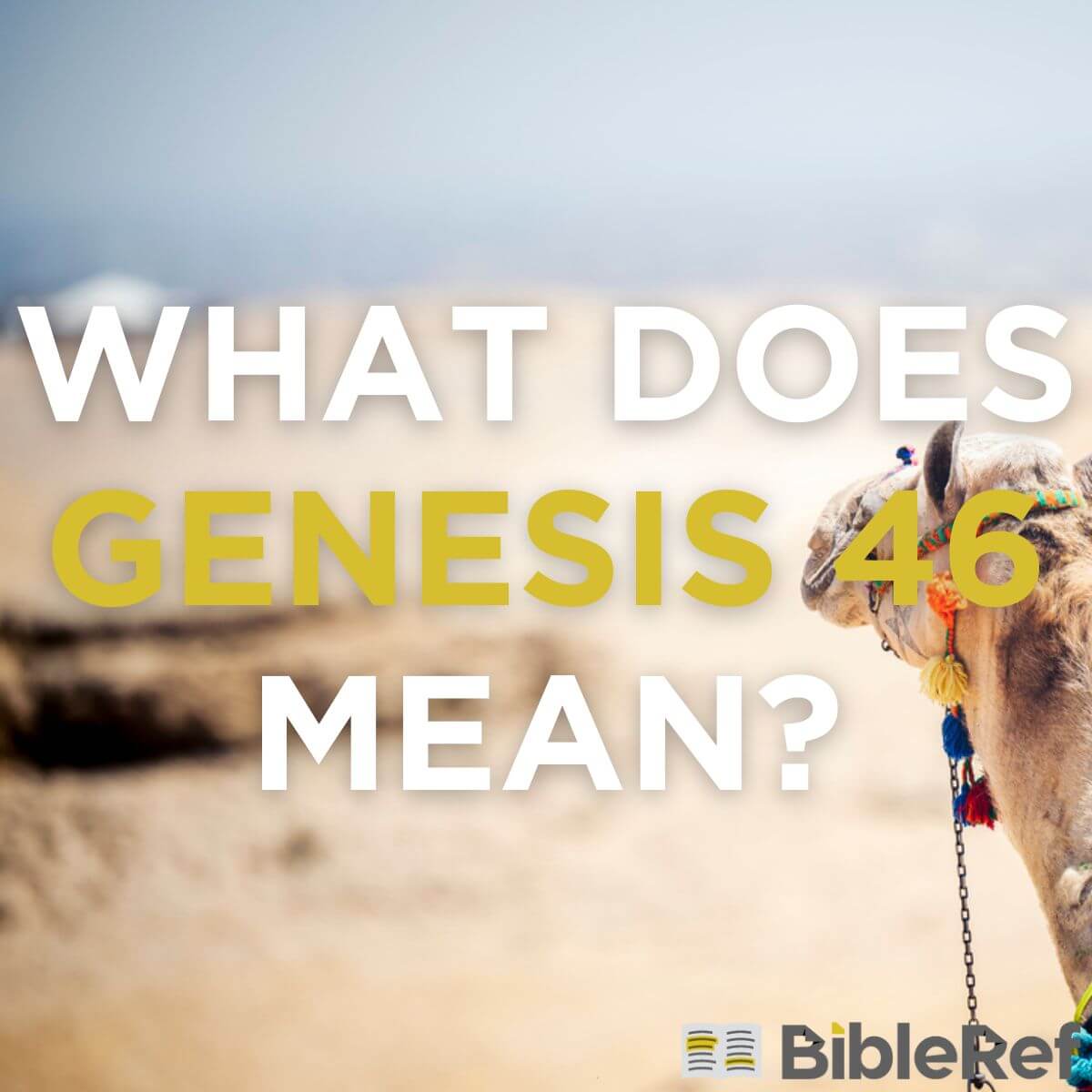 what-does-genesis-chapter-46-mean-bibleref