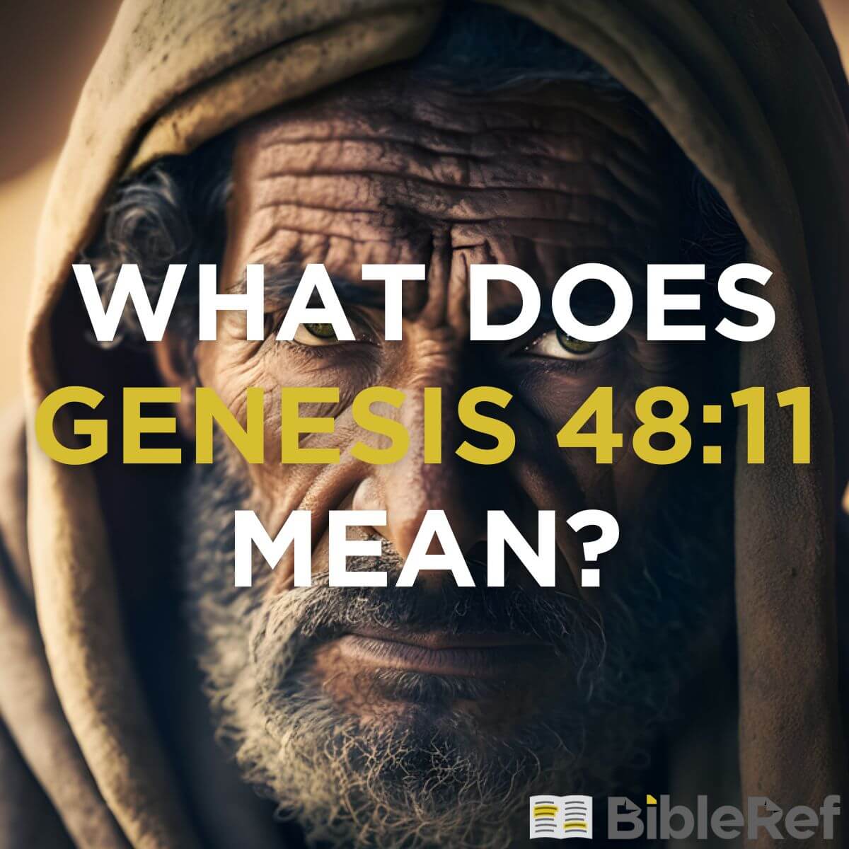 what-does-genesis-48-11-mean-bibleref