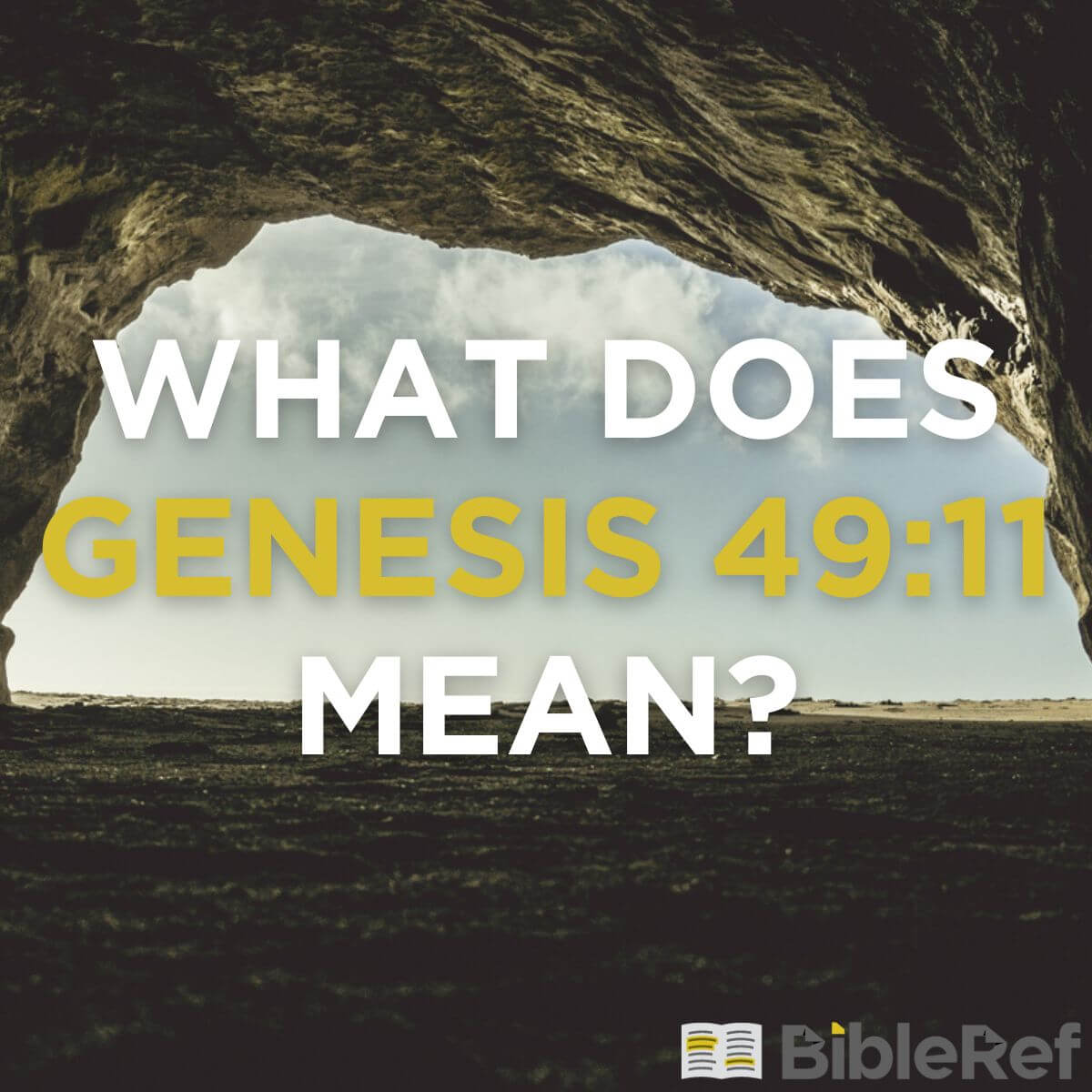 what-does-genesis-49-11-mean-bibleref