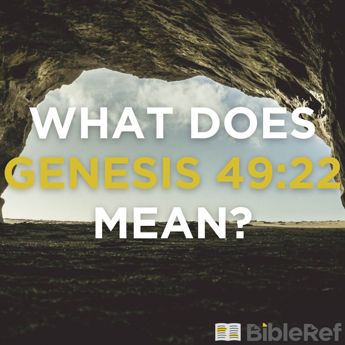 what-does-genesis-49-22-mean-bibleref