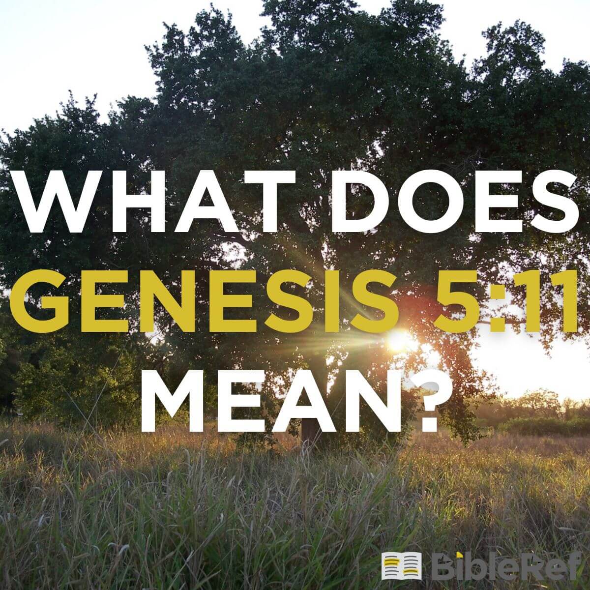 what-does-genesis-5-11-mean-bibleref