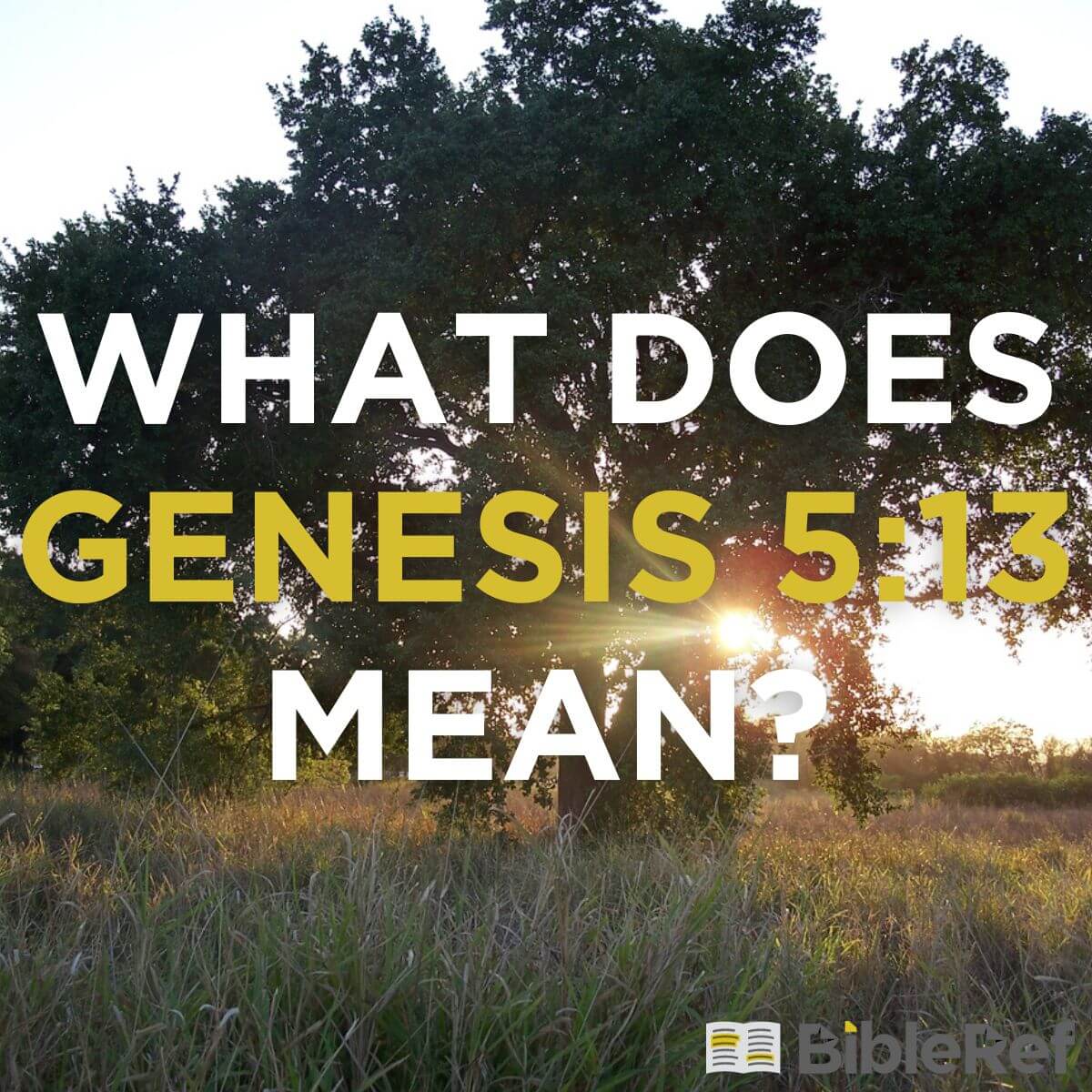 what-does-genesis-5-13-mean-bibleref