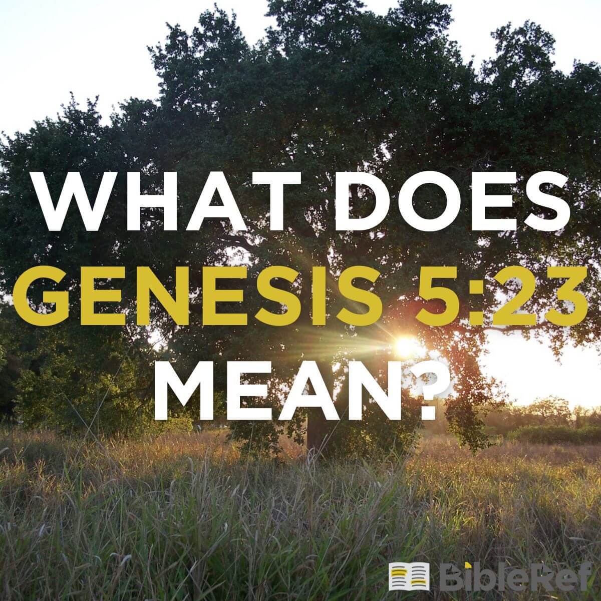 what-does-genesis-5-23-mean-bibleref