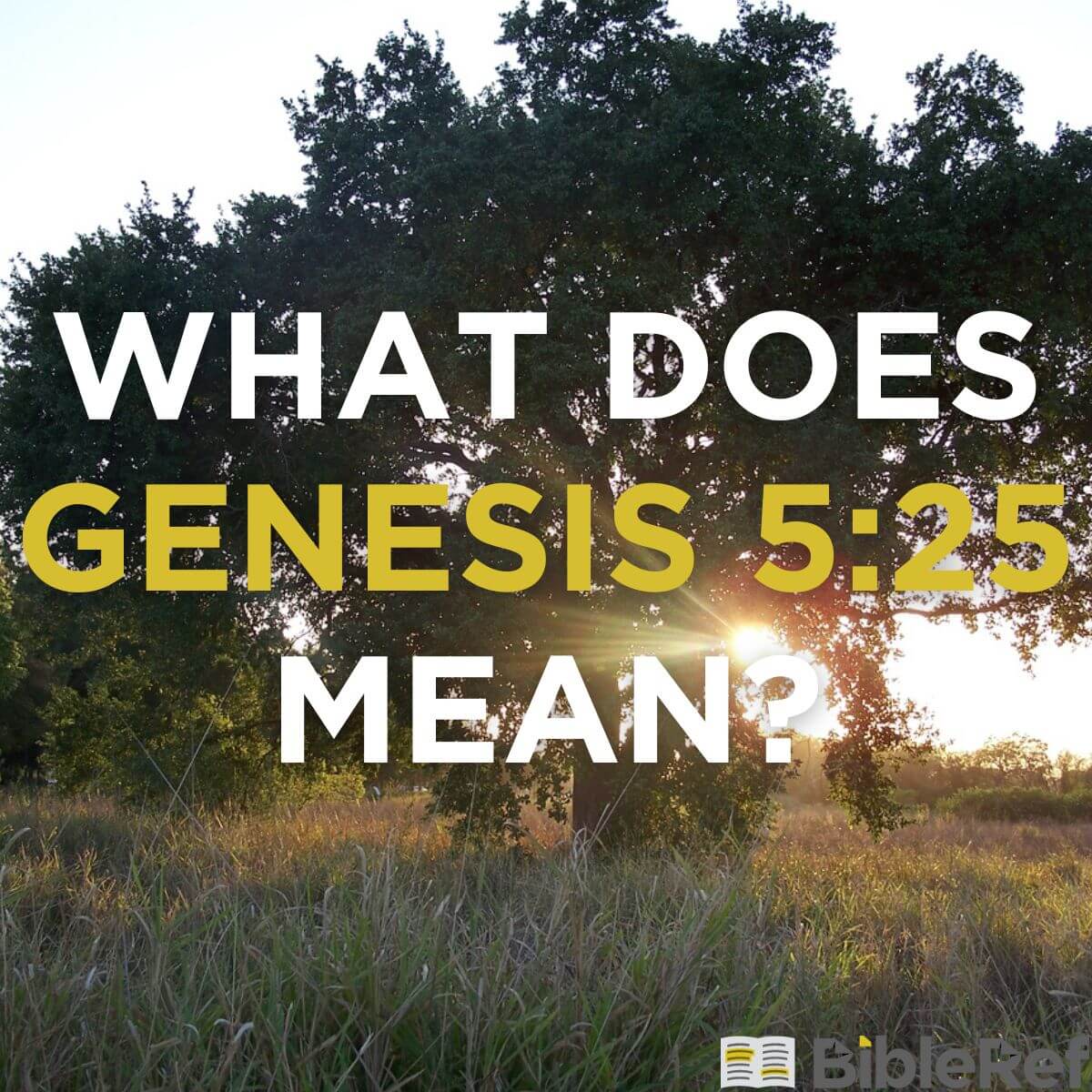 what-does-genesis-5-25-mean-bibleref