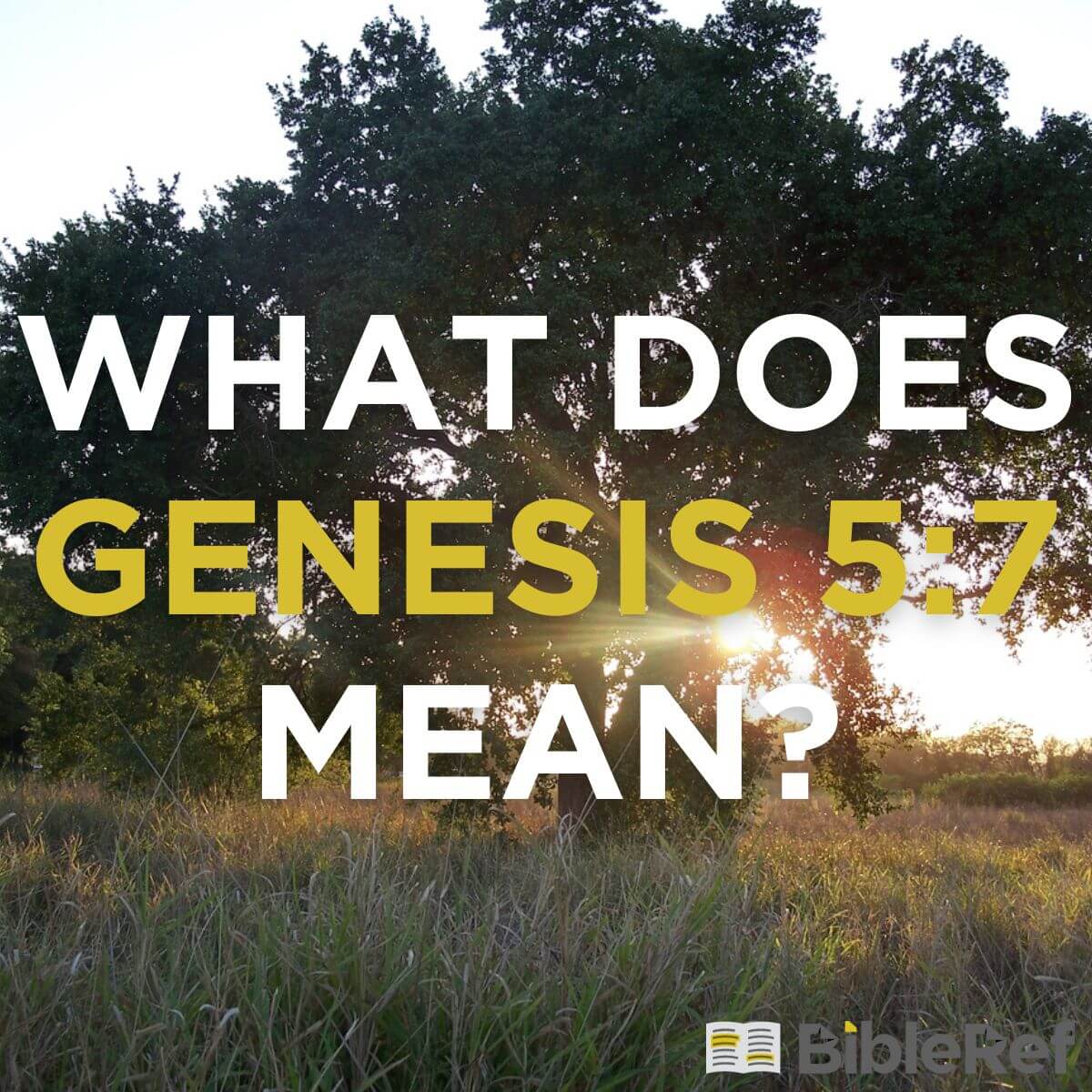 what-does-genesis-5-7-mean-bibleref