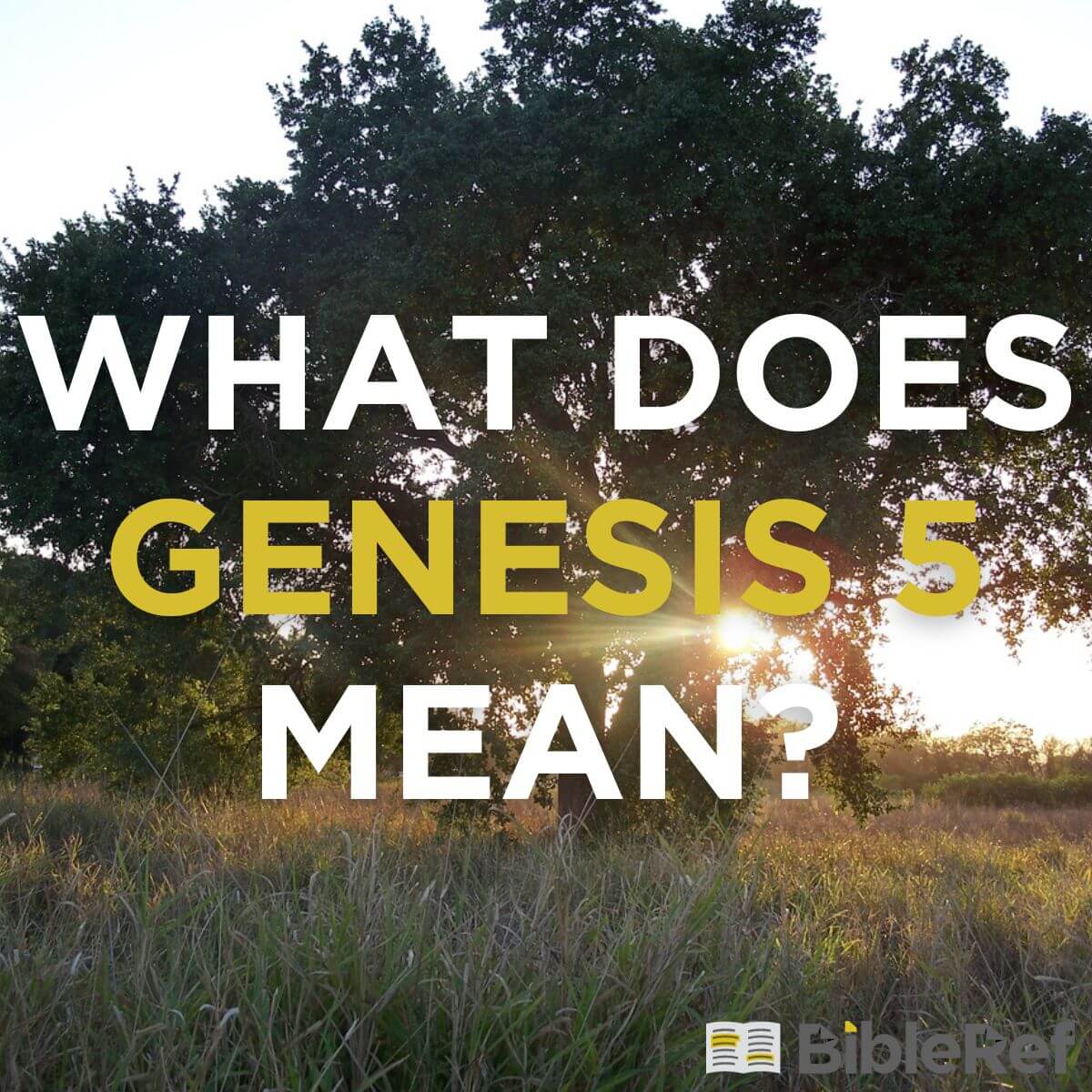 what-does-genesis-chapter-5-mean-bibleref