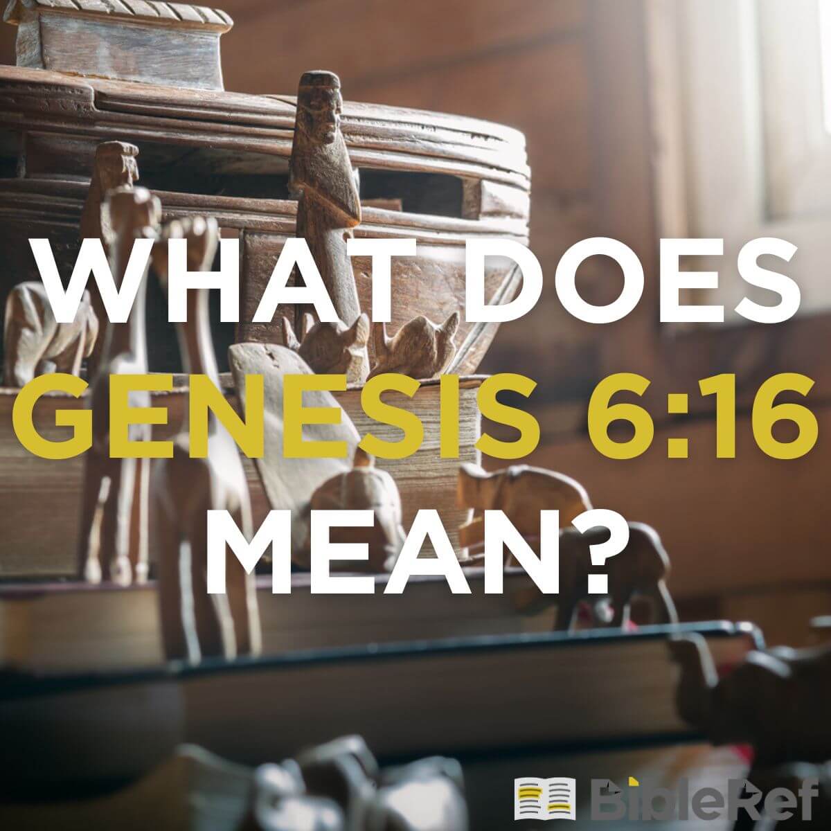 what-does-genesis-6-16-mean-bibleref