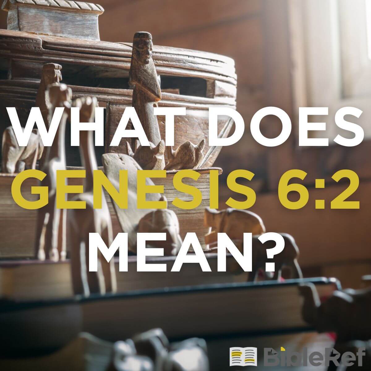 what-does-genesis-6-2-mean-bibleref