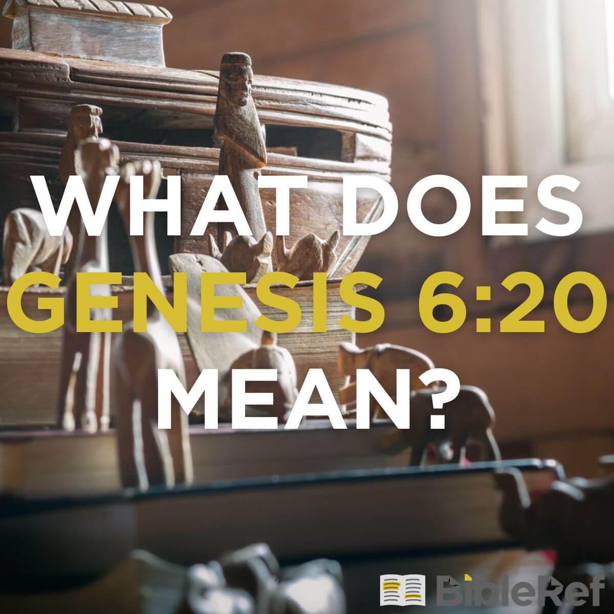 what-does-genesis-6-20-mean-bibleref