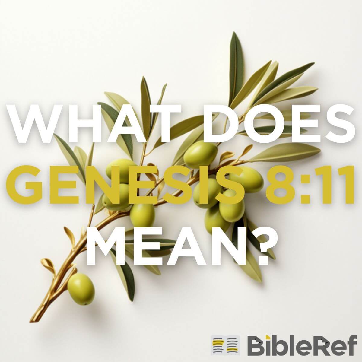 what-does-genesis-8-11-mean-bibleref