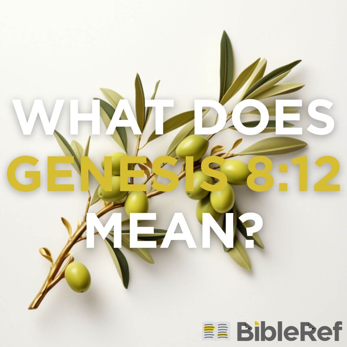 what-does-genesis-8-12-mean-bibleref