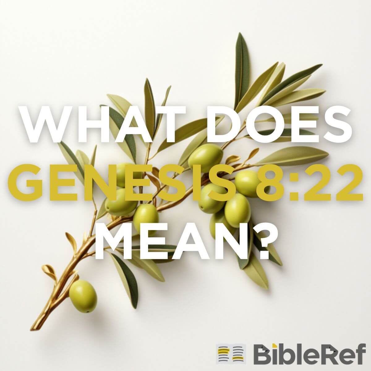 what-does-genesis-8-22-mean-bibleref