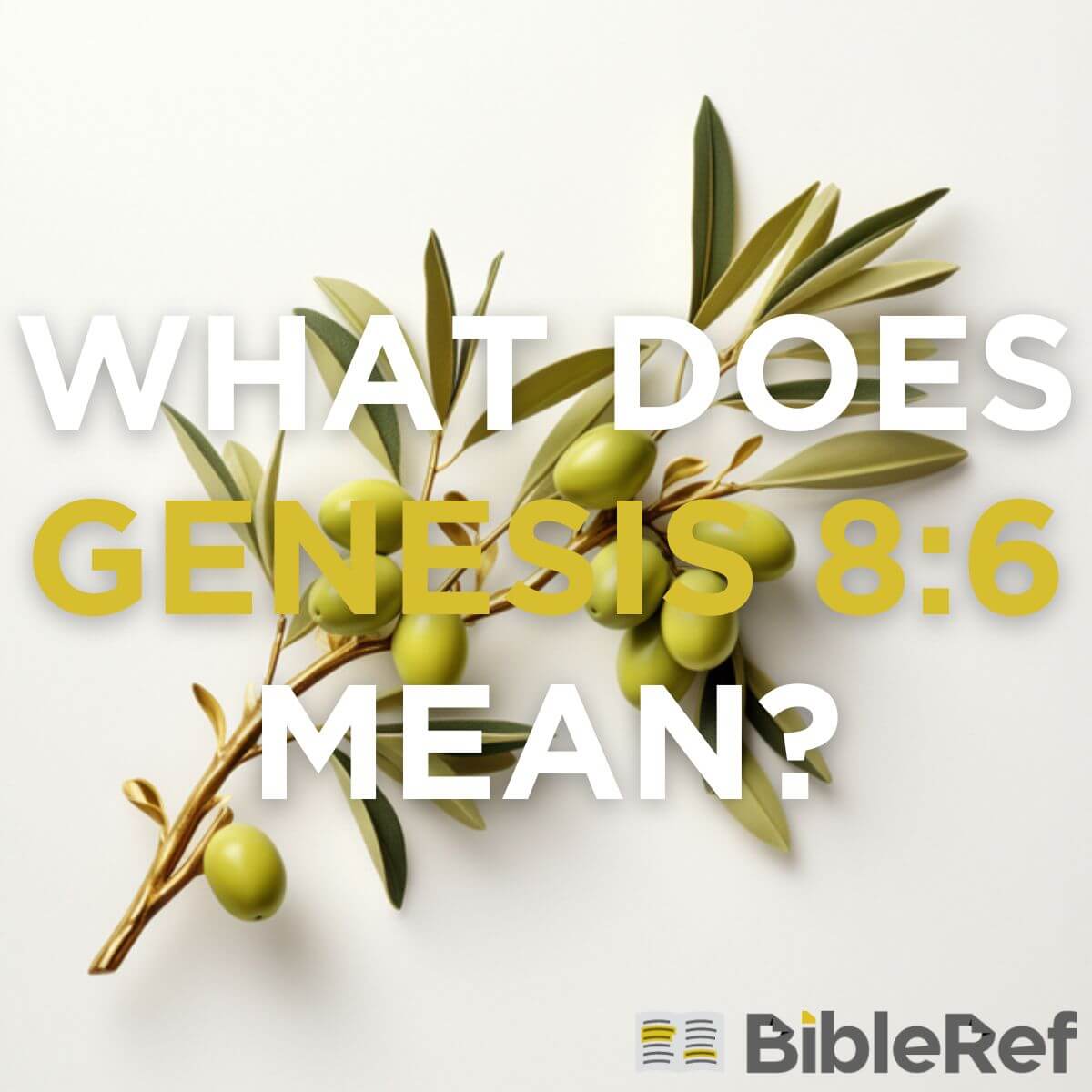 what-does-genesis-8-6-mean-bibleref