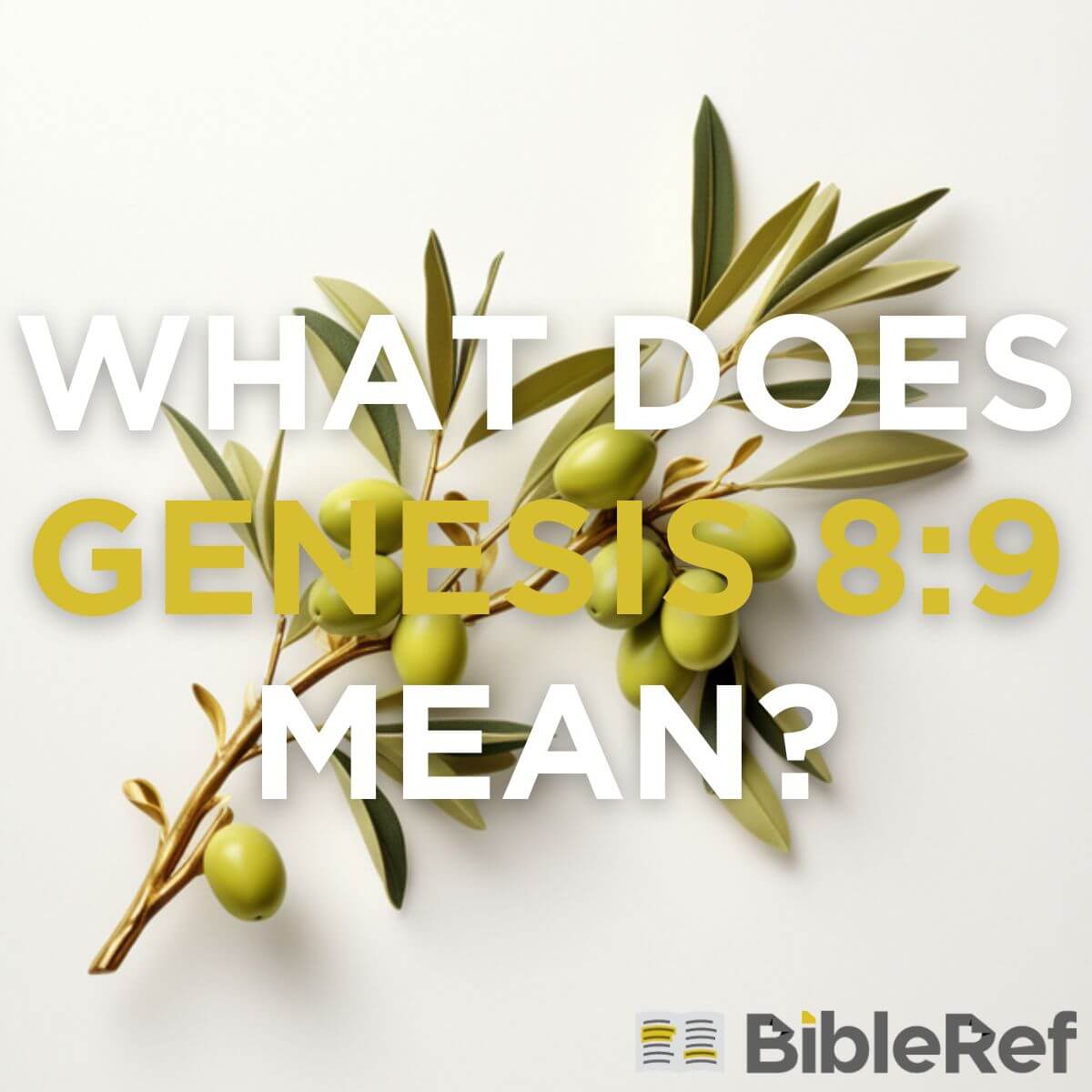 what-does-genesis-8-9-mean-bibleref