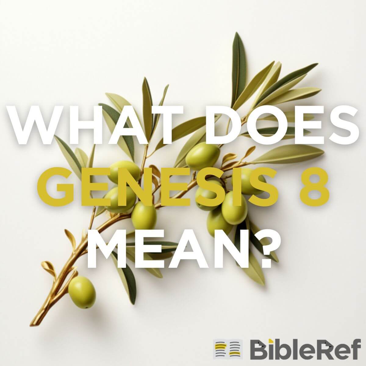 what-does-genesis-chapter-8-mean-bibleref